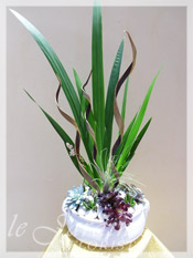 Elegance - Planter Arrangement