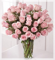 4 Dz Long Stem Pink Roses Arrangement