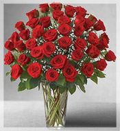 4 Dz Long Stem Red Roses Arrangement