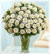 4 Dz Long Stem White Roses Arrangement