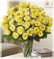 4 Dz Long Stem Yellow Roses Arrangement