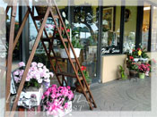 Le Jardin Florist & Gifts... since 1986.