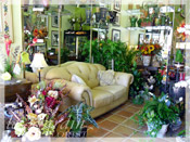 Le Jardin Florist :: North Palm Beach Flower Shop since 1986.