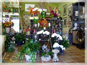 Le Jardin Florist :: North Palm Beach Flower Shop since 1986.