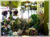 Le Jardin Florist :: North Palm Beach Flower Shop since 1986.