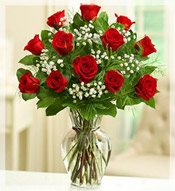1 Dz Long Stem Red Roses Arrangement