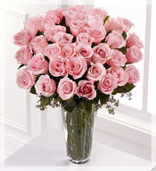 3 Dz Long Stem Pink Roses Arrangement