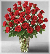 3 Dz Long Stem Red Roses Arrangement