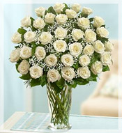 3 Dz Long Stem White Roses Arrangement