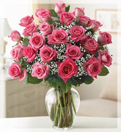 2 Dz  Long Stem Pink Roses Arrangement