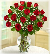 2 Dz Long Stem Red Roses Arrangement