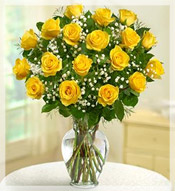 2 Dz Long Stem Yellow Roses Arrangement