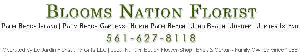 Blooms Nation by Le Jardin Florist