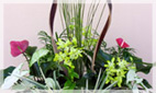 PLANTERS / DISH GARDENS